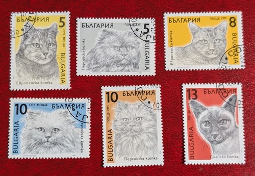 Bulgarien 1989 perser siam - bulgarien, perser-