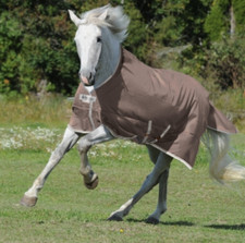 BUCAS Turnout light, Bucas