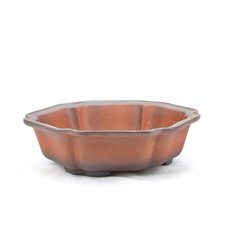 Bonsai Schale Eckig 19 x 19 x 5,5 cm, Braun , Unglasiert