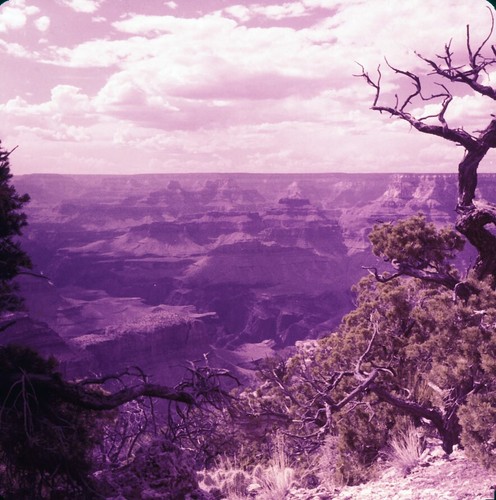 Kaufdias grand canyon az - 10,