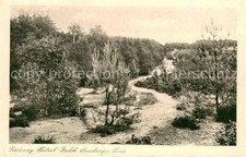 Lueneburger heide heideweg - lueneburger,