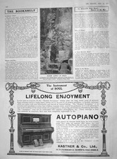 Alter antiker Druck 1909 Maxim