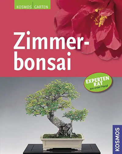 Zimmerbonsai
