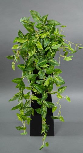 Syngonium ranke real touch - real,