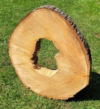 🌳 Baumscheibe von der