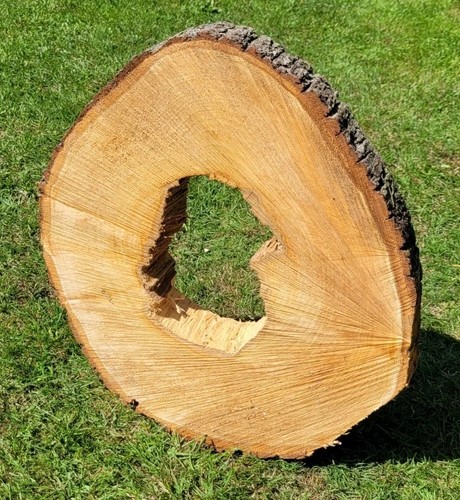 Baumscheibe von der - 🌳,