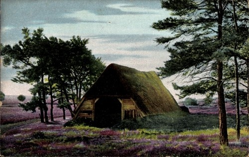 Lüneburger heide - lüneburger,