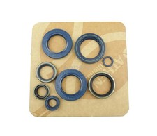 Engine oil seals kit /