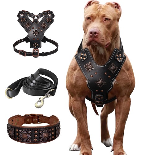 Echtleder hundegeschirr - echtleder,