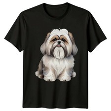 Süßes shih tzu - shih,