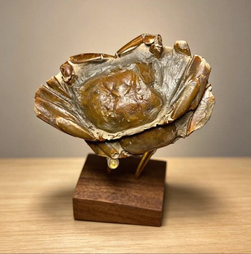 Doppeltes krebs fossil - doppeltes, krebs‑fossil