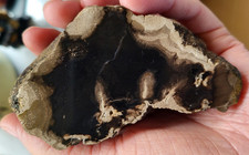 Foss.Holz uas Peuerbach, Oberösterreich