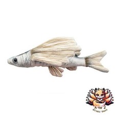 NEU Hansa Fliegender Fisch