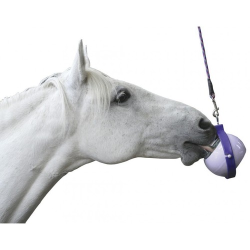 Halter boredom buster likit - "boredom, buster"