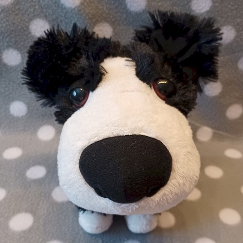 Stofftier hund border collie - hund,