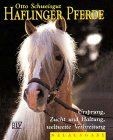 Haflinger pferde von - pferde,
