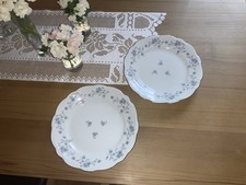 2 Speiseteller Johann Haviland Blue Garland 25,5 x 3,5 cm? neuwertig ?