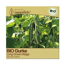 BIO Gurken Samen Long Green