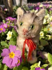 Seltene alte Tabby-Katze Susi