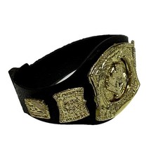 Spinning WWE Championship