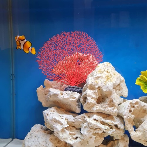 Künstliche korallen aquarium - künstliche,