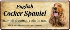  ''English Cocker Spaniel''