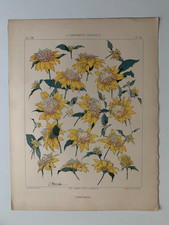 J.HABERT-DYS CHROMOLITHOGRAPHY