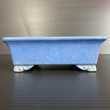 selten guter mittelgroßer