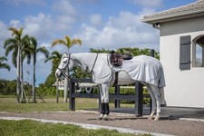 Horseware Amigo Flyrider