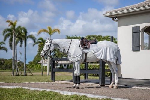 Horseware amigo flyrider - horseware,