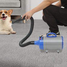 Elektrischer