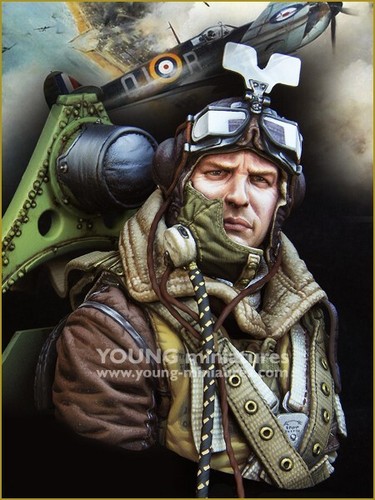 Young miniatures raf - young,
