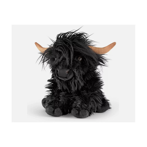 Living nature highland cow - living,