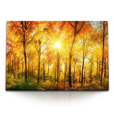 120x80cm Wandbild auf Leinwand