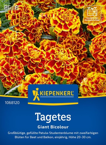 Kiepenkerl blumensamen tagetes - kiepenkerl,