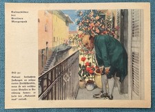 Natur-Bilder + Berliner