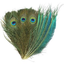 Damen Basteln Deko Pfauen