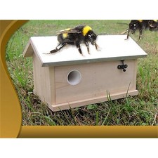 Hummel hummelhaus hummelkasten - hummelhaus,