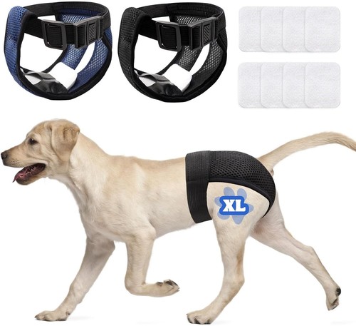 Hundewindeln wiederverwendbare - hundewindeln,