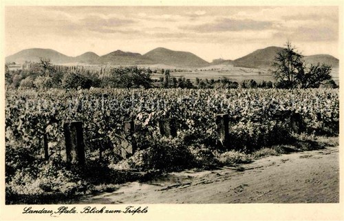 Landau pfalz blick zum - landau,