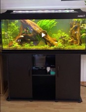 Aquariumwurzel | Mangroven | Wurzel #1 | Aquaschmieder