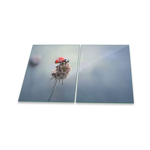 Herdabdeckplatte ceran - herdabdeckplatte,