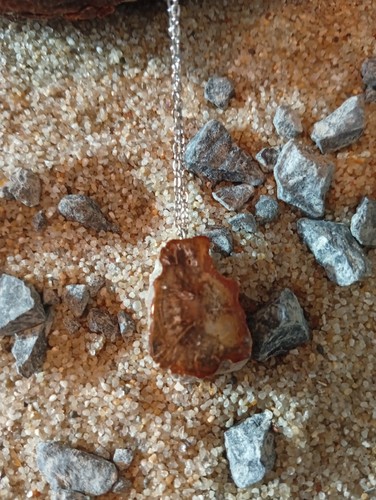 Versteinertes holz anhänger - versteinertes,