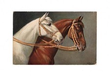 Ansichtskarte Kunst / Pferde
