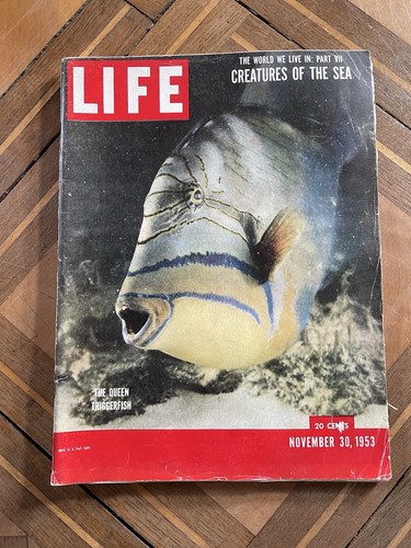 Life magazine november 1953 - life,