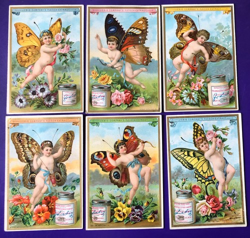 Sammelbilder liebig 1891 - 6,