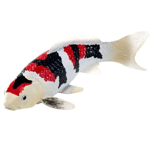 Koi karpfen showa sanshoku tri - karpfen,
