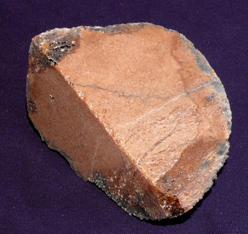 Versteinerter