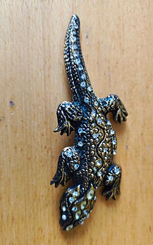 Gürtelschnalle salamander - gürtelschnalle,
