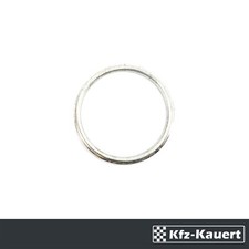 Reinz Füllring Dichtung